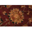 Kaat Wool Oriental Rug