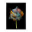 «Blooming Multicolor Fractal Flower VI», reproduction d'art sur toile moderne-829335991-829335997