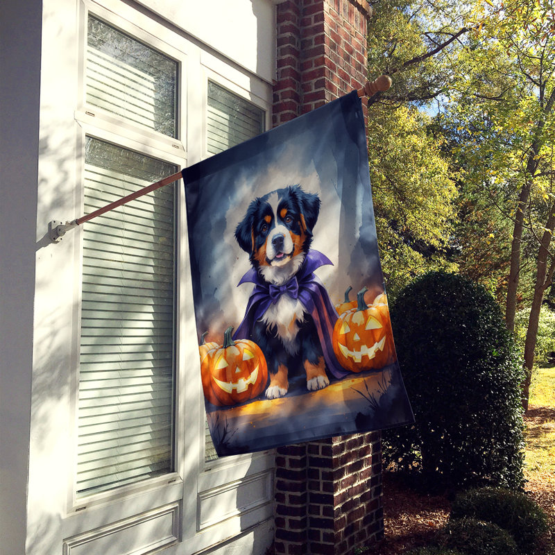 Drapeau de chiot Halloween House, Bouvier bernois