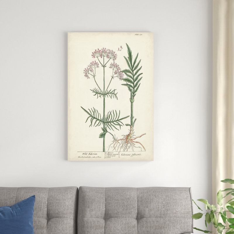 Herbes antiques I, H 36 po x l 24 po