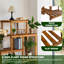 Plant Stand - Set of 5
