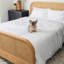 Ensemble de housse de couette en coton blanc standard-113643384