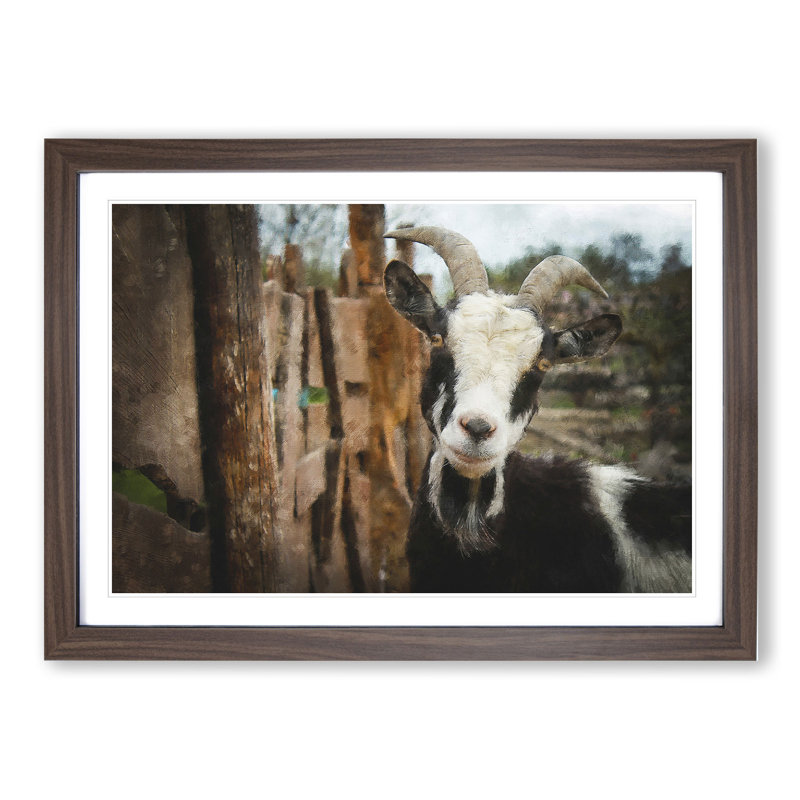 Goat Vol.1 - Picture Frame Painting, 27cm H x 36cm W x 2cm D, Walnut Framed