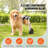 Foldable Pet Stroller