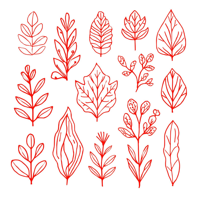Rideaux de douche Red Leaf Illustration, 70 po l x 72 po H