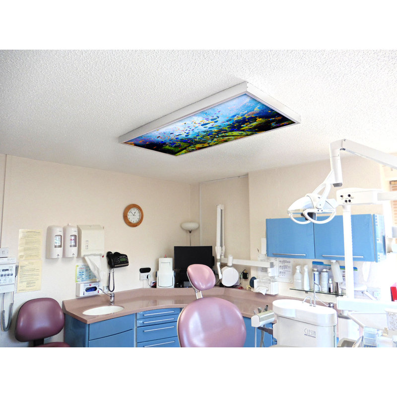 Couvre-lampes fluorescents pour salle de classe Ocean - pour luminaire 2 x 4 - par Octo Lights