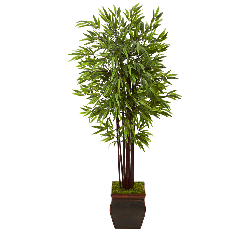 Faux Bamboo Tree in Planter