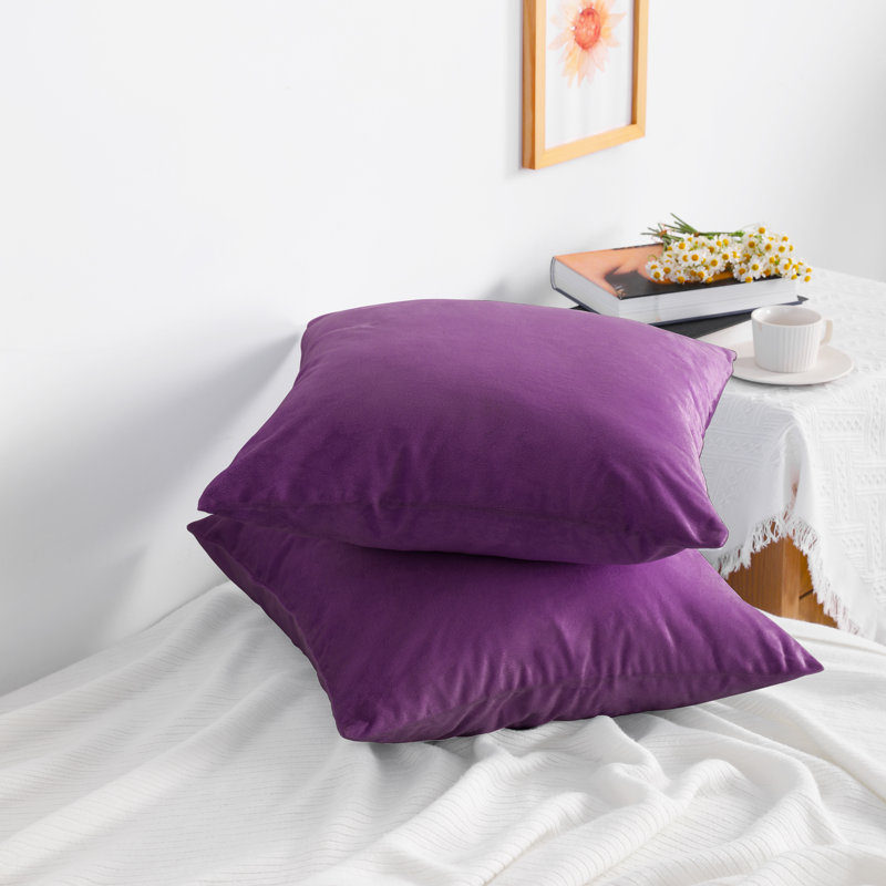 Square Zippered Throw Pillow Cover, Luxury Velvet Cover, Super Soft - NTBAY, Purple, 22" x 22" Pillowcase