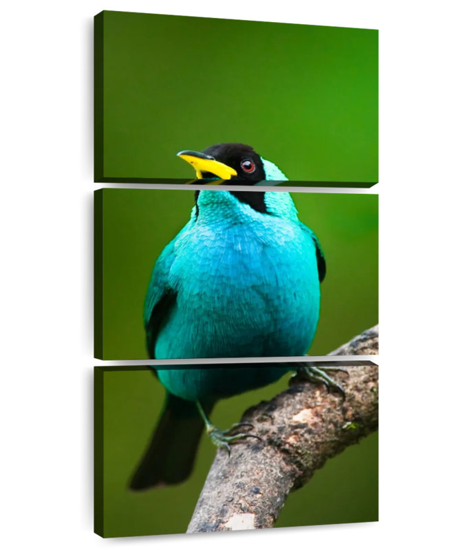 Green Honeycreeper On Branch, 44" H x 21" W