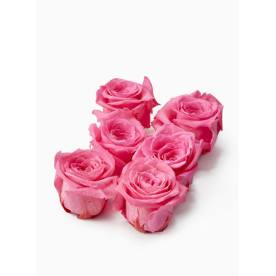 Preserved Rose Arrangement