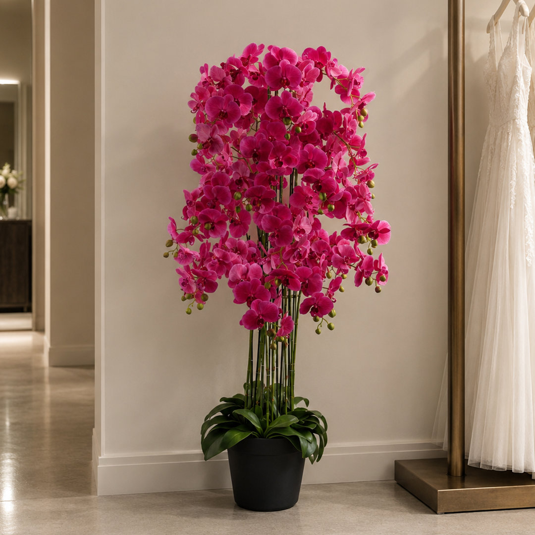 Real Touch Artificial Orchids Plastic, Silk Artificial Arrangement in Planter