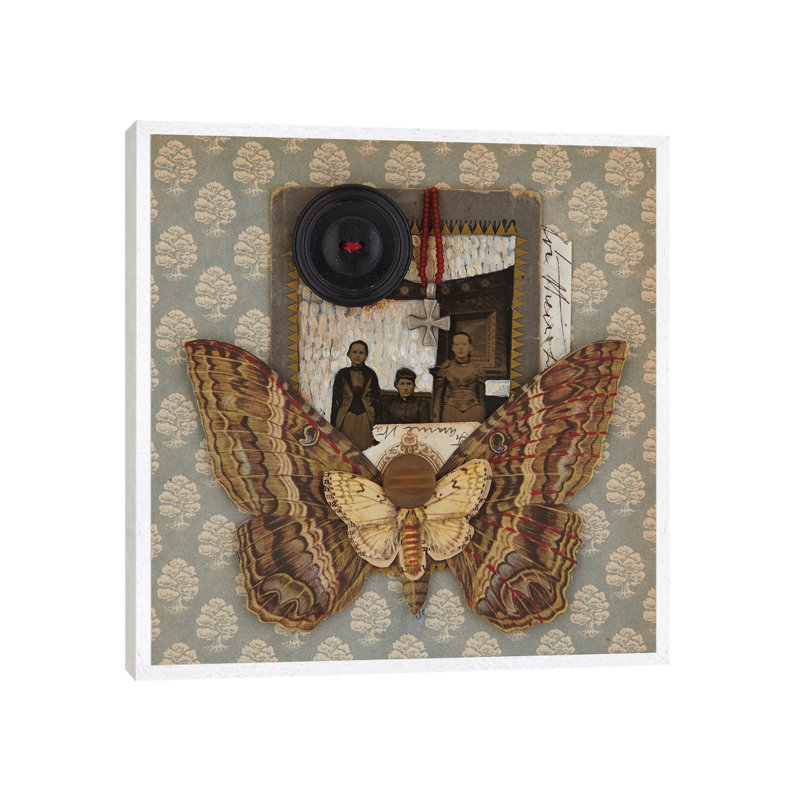 Little Man by Susan Savory - Gallery-Wrapped Canvas Giclée on Canvas, White Floater Framed, 66.04 cm H x 66.04 cm W