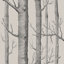 Linen/Charcoal