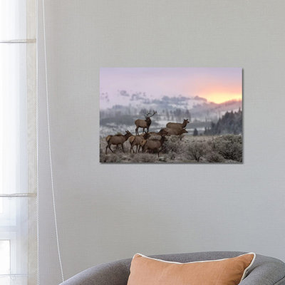 First Light by Nick Kalathas - Print on Canvas