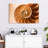 Aletra Nautilus Shell Inside-107680916
