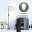 Nylene 64" Arc/Arched Floor Lamp with Remote Control and Bulb Included-286154685