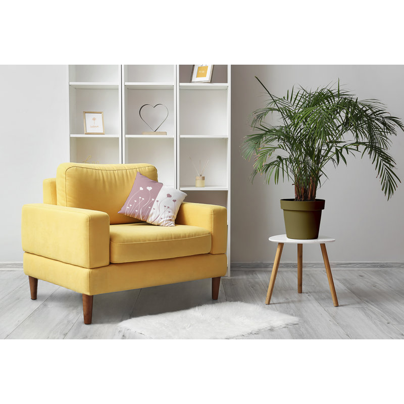 Coussin décoratif Growing Love PHF1640PU51, H 16 po x l 16 po, Carré