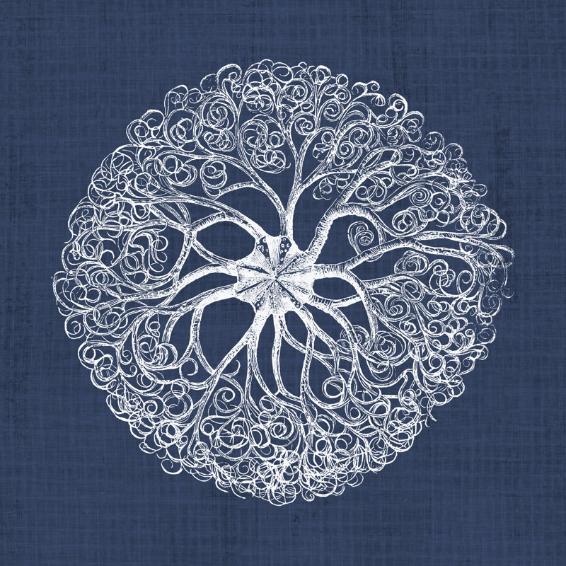 Sea Anemone On Indigo II - Wrapped Canvas Painting, 76cm H x 76cm W x 3.8cm D
