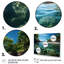 Caraibe Island Serenity - impression-969042503-969042502