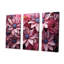 Ensemble de décorations murales marguerite rose et harmonie III-107755961-107755966