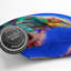 A Chameleon In Abstract Square Throw Cushion-56189240