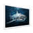 White Single Picture Framed