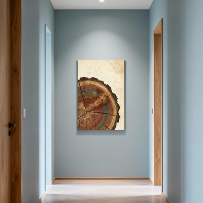 Plants & Flowers Tree Ring Pattern On Canvas Print