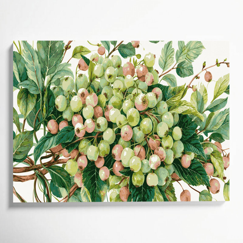 «Fruit Gooseberry Green», art mural sur toile