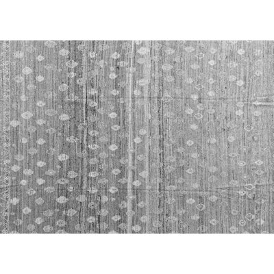Meritza Performance Geometric Indoor Rug