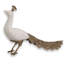 Peacock Sculpture-623298277