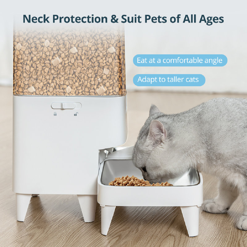 and Pet Bowl