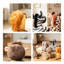 Ensemble de jouets en peluche Jungle Animal