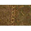 Wool Oriental Area Rug