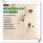 Tablettes pivotantes pour plantes d'intérieur