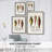 Fruit & Vegetable Varieties VI Framed Print - Solid Wood-1808077222
