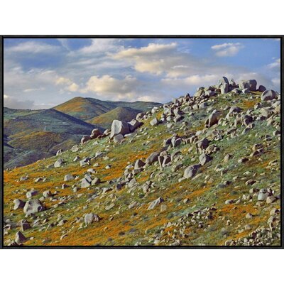 California Poppy Flowers in Rocky Grassland, Canyon Hills, Santa Ana Mountains, California by Tim Fitzharris Framed Photographic Print on Canvas -  Global Gallery, GCF-397097-2432-175