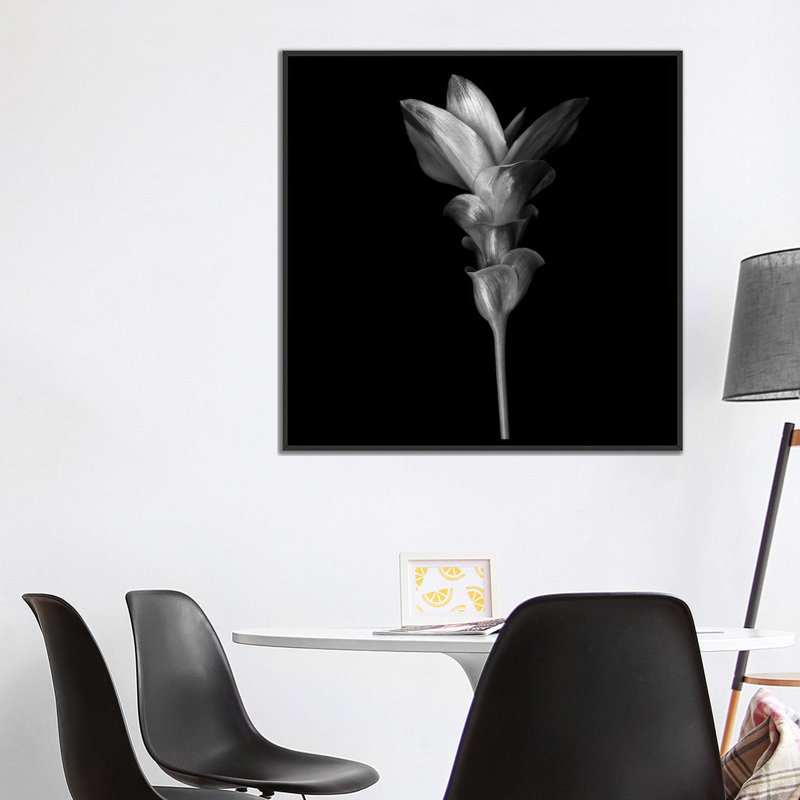 « curcuma iii, b&w » par magda indigo, impression sur toile, H 48 po x l 48 po x P 1,5 po, Pas de tapis, Toile tendue