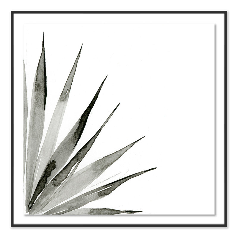 Agave II Print by Jess Engle, Black, 40" H x 40" W x 2.5" D