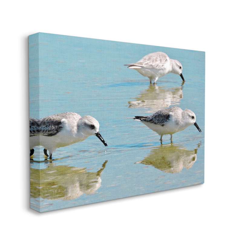 «Au-474-Canvas Sandpipers Shallow Water Reflection on Canvas» par Graffi *, photographie de Tee Studios