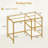 Sharifah Glass Iron Computer Desk