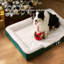 Lit confortable pour chien-109050356-109050355