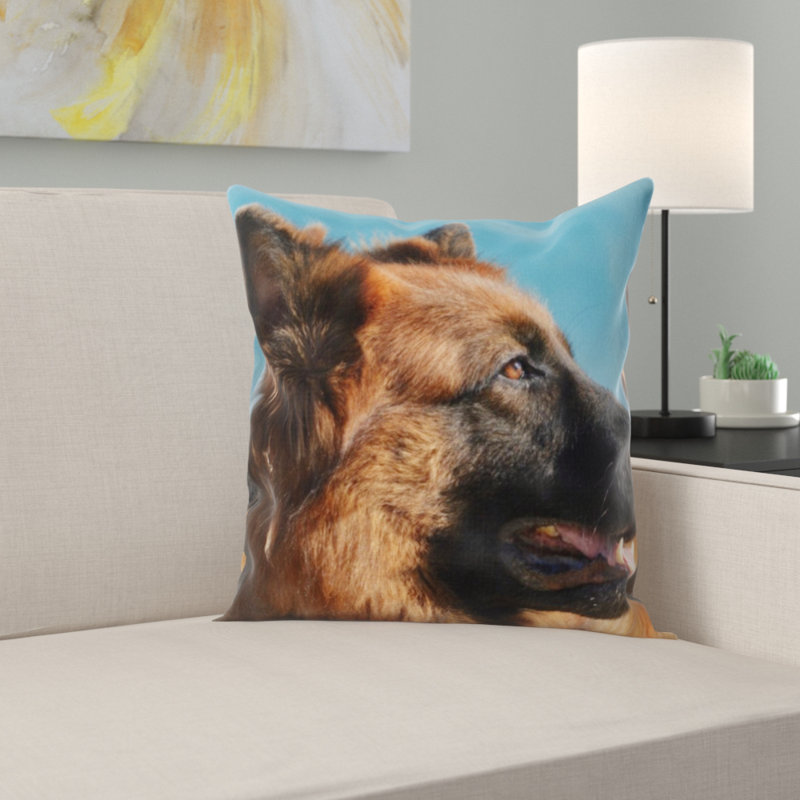 Coussin pour chien