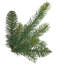 Arbre DEL mince-105229868