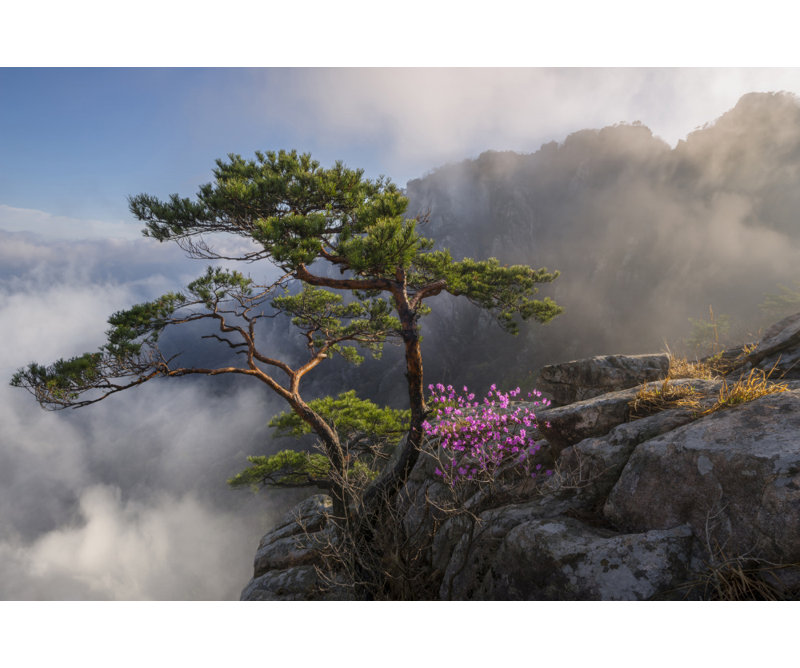 Wrapped Canvas Print, 60.96 cm H x 91.44 cm W