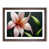 Walnut Framed