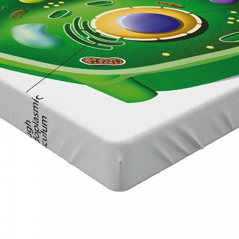 Microfiber Fitted Sheet, Full Fitted Sheet