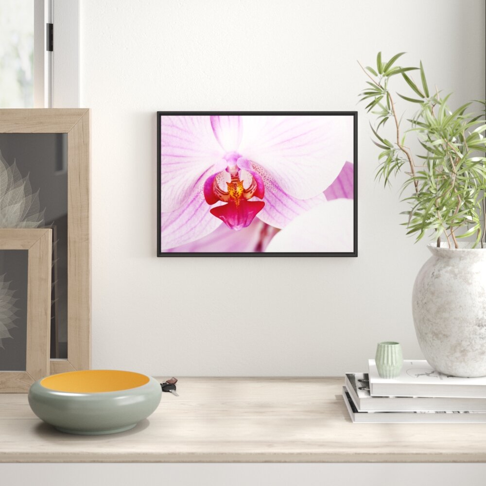 Gerahmtes Wandbild Prächtige Rosa Orchidee