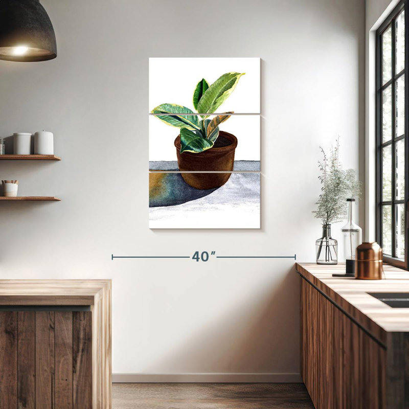 Plante Harnek dans un pot en céramique, H 38 po x l 24 po