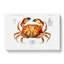 Crab by Albert I - Wrapped Canvas-55371925