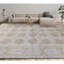 Silk Oriental Area Rug